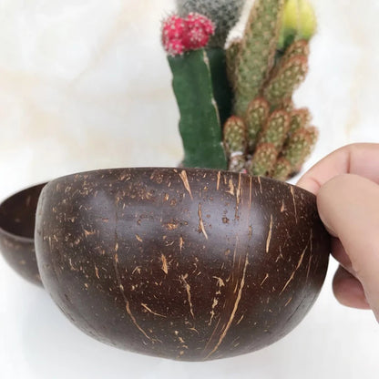 Natural Coconut Bowl Set