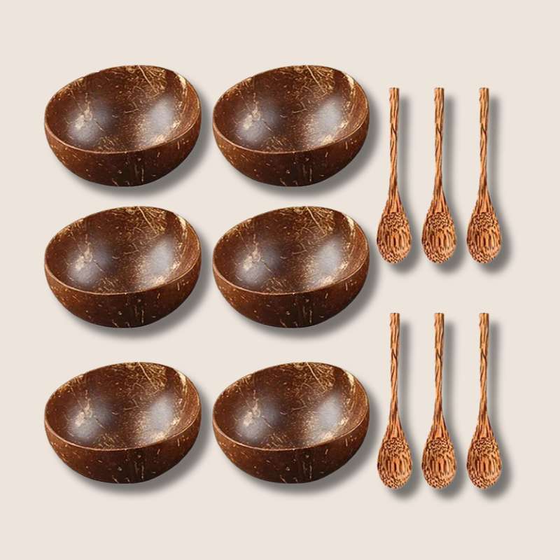 Natural Coconut Bowl Set